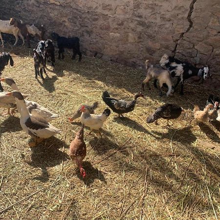 Nubian Farm Aswan Villa Luaran gambar