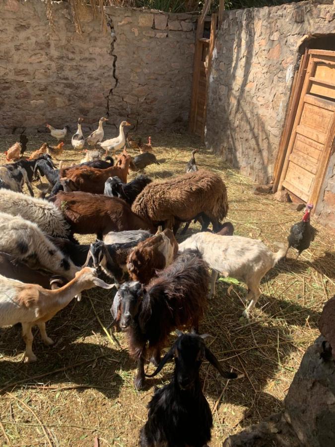 Nubian Farm Aswan Villa Luaran gambar