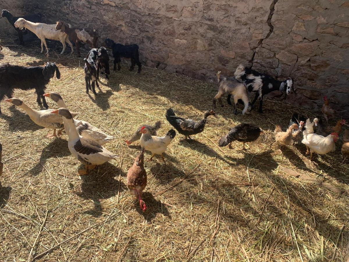 Nubian Farm Aswan Villa Luaran gambar