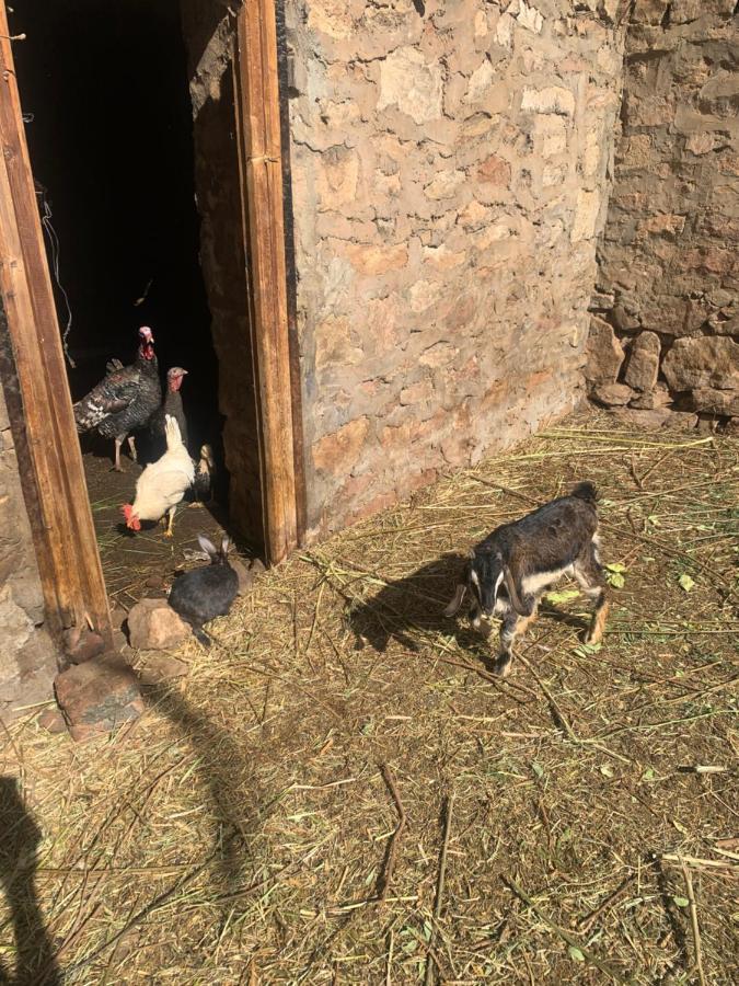Nubian Farm Aswan Villa Luaran gambar